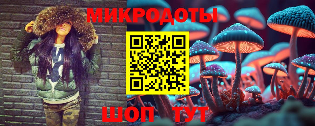 Галлюциногенные грибы Magic Shrooms  Вход с VPN  Псилоцибиновые грибы Psilocybe  Славянск-на-Кубани 