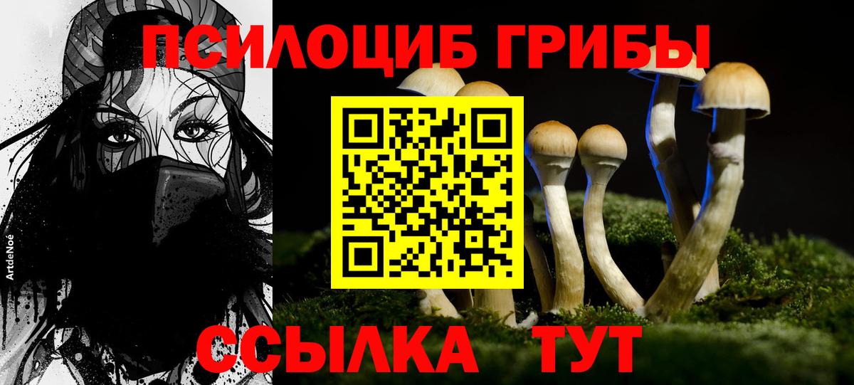 Псилоцибиновые грибы мухоморы Славянск-на-Кубани